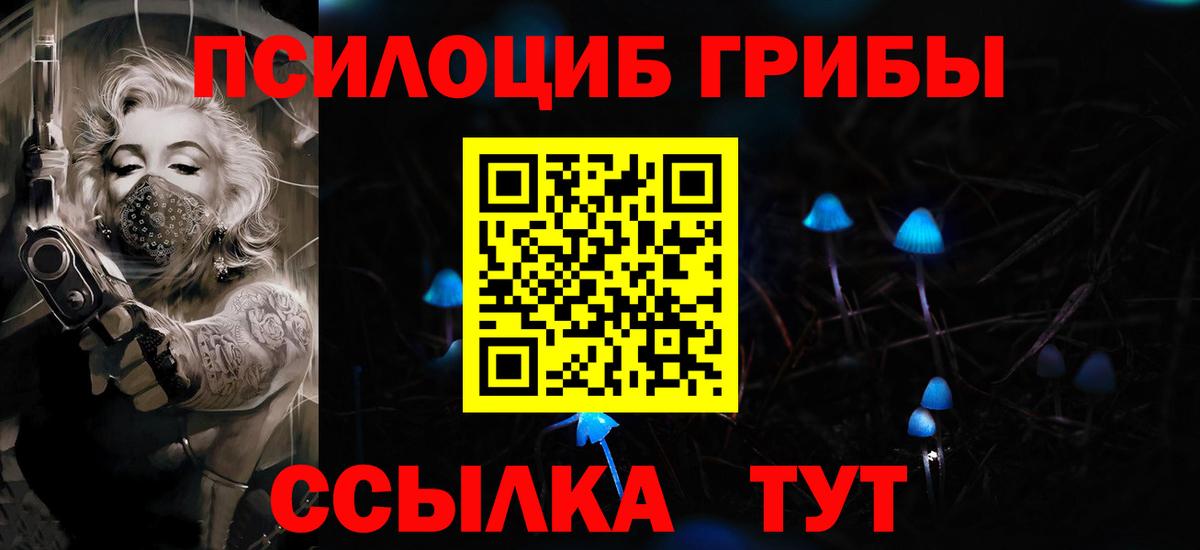 Нововоронеж  Псилоцибиновые грибы Cubensis  Вход с VPN  Псилоцибиновые грибы мухоморы 
